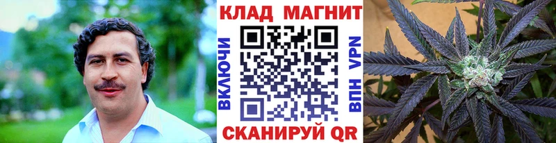Купить закладку Cocaine  Меф мяу мяу  ГАШ  Конопля  Салехард