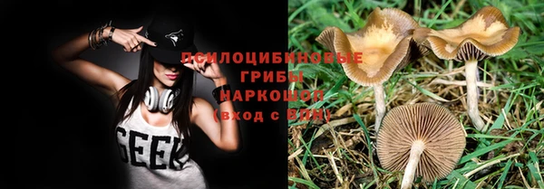 ALPHA-PVP Краснослободск